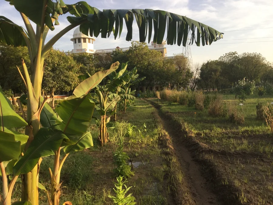 new irrigation channel for the vegetables 1200